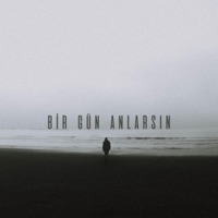 Bir Gün Anlarsın - Single - ROE