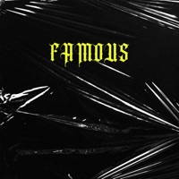 FAMOUS (feat. Woocitypat & LuizAntoni) - Single - STEEZ