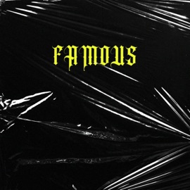 FAMOUS (feat. Woocitypat & LuizAntoni) STEEZ