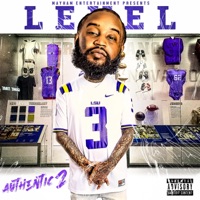 Authentic 2 - Level