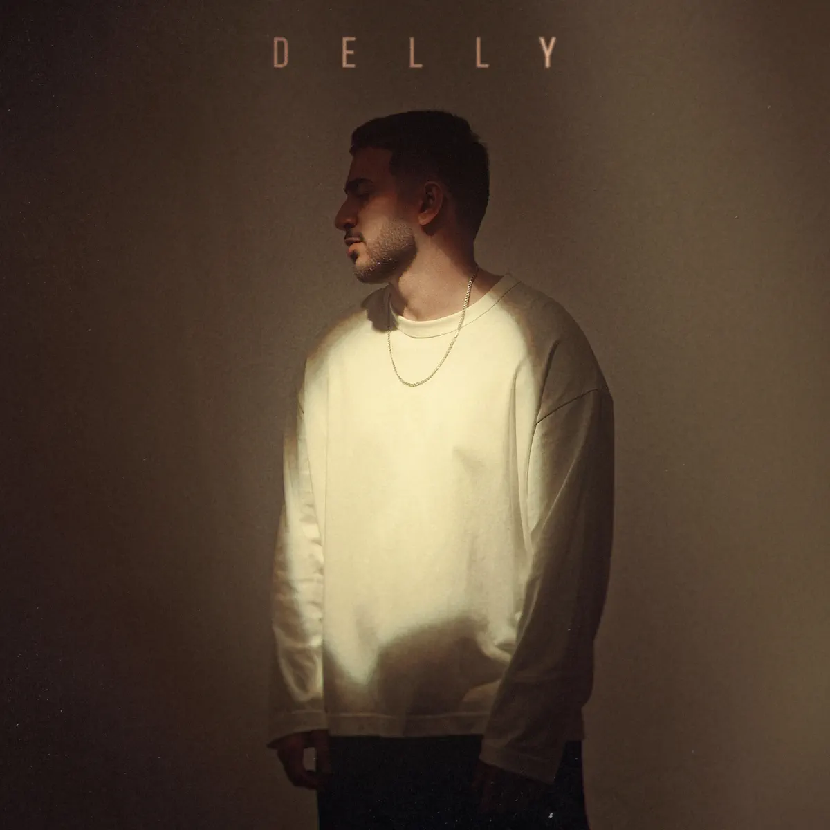 DELLY - Вру - Single / Лети - Single (2024) [iTunes Plus AAC M4A]-新房子
