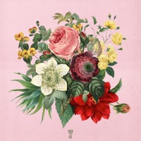 Best Behavior - Single - aloe.401, Prettyboyworldwyde & Lauren Juzang