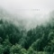 Fauna - Zamphire lyrics