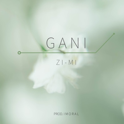 Zi-mi - Single