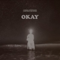 OKAY//LOST (feat. NotNevi, Lando Senju & kiwifrooot) - Single - LOWLiFELEX
