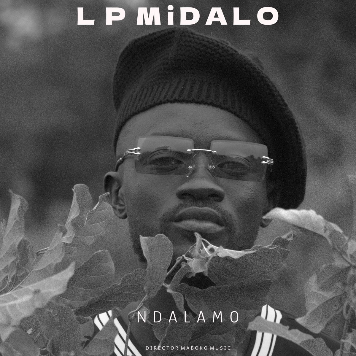 Ndalamo - EP - Album by LP MiDALO - Apple Music