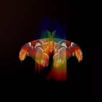 Soulless Being - Single - Nomé Naku