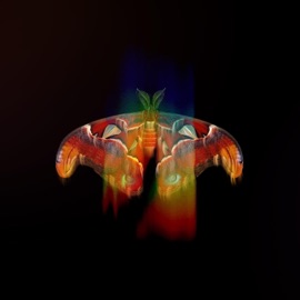 Soulless Being Nomé Naku