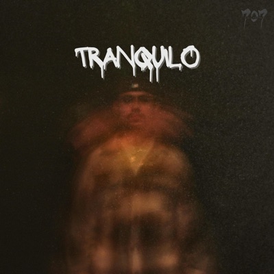 TRANQUILO (feat. Manny Mata) - Single