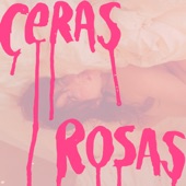Ceras rosas (Remix DELVAL) artwork