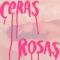 Ceras rosas (Remix DELVAL) artwork