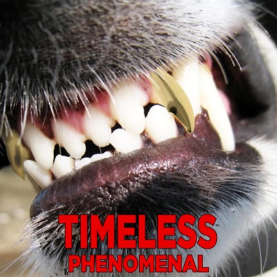 Timeless - Single