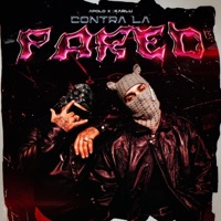 Contra la Pared - Single - Karlu & Apolo X