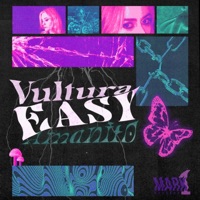 Easy (feat. Amanito) - Single - Vultura