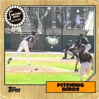 Pitching Birds - Single - Hongo1_, Dusty Renoylds & Santana Bros