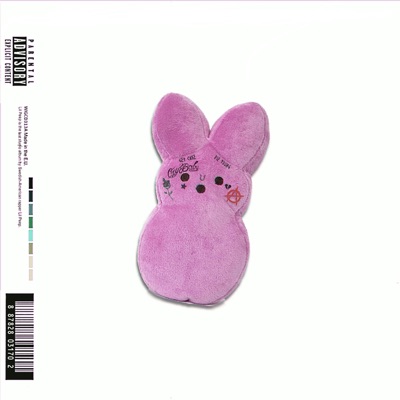 P!Nk Princess - Single