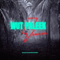 Wut Paleek (feat. Chol Mawut) - Single - JUNUB Hits