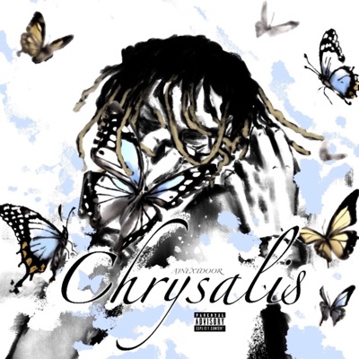 Chrysalis