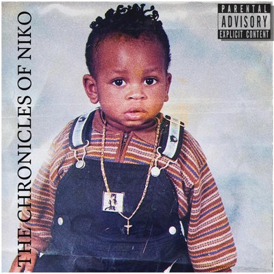 THE CHRONICLES OF NIKO