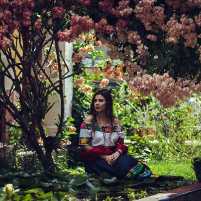 Popurrí - Villahermosa, Mis Blancas Mariposas, La Voz Del Infierno Verde - Single