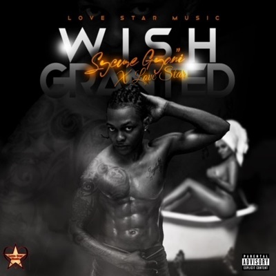 Wish Granted - Single