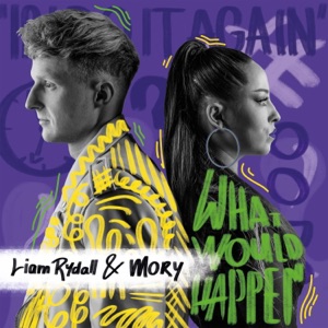 What Would Happen (If I Do It Again) - Single
