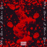 Why Don't I Hate You - Elijah Peters