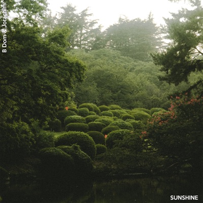 SUNSHINE - Single