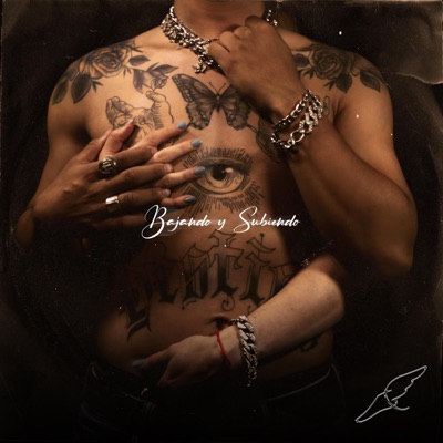 Bajando y Subiendo (feat. Blend The Only) - Single