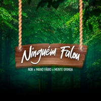 Ninguém Falou (feat. Mano Fábio & Mente Gringa) - Single - NDR
