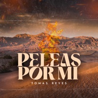 Peleas por Mi - Single - Tomas Reyes