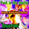 Peak in the Shelter (Kohei Umeshita Remix) - Single