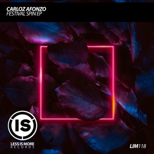 Festival Spin - Single