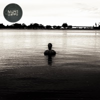 Album cover for Glass Animals by Night Swims