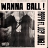 Wanna Ball (feat. Joey Jungle) - Single