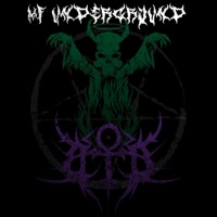 M.F. Underground - Single - Blood of the Beloved