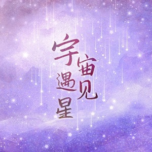 宇宙遇见星 (DJ沈念版) - Single