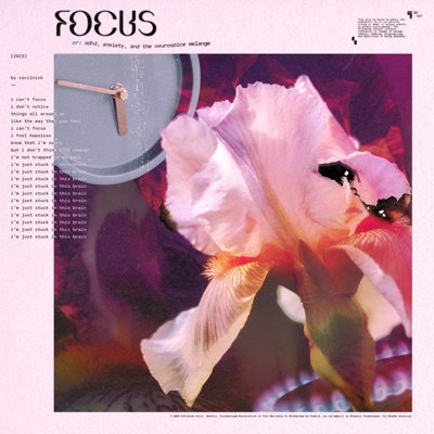 Focus - Single