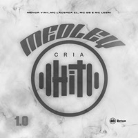 Medley Cria Hit 1.0 (feat. Mc Lebai) - Single - Menor Vinii, Mc lacerda zl & Mcgb