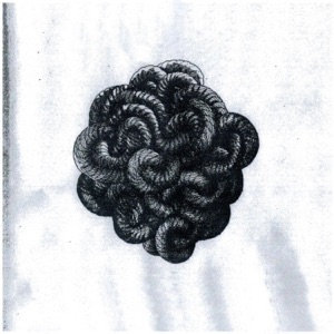 Wish - Single