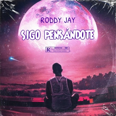 Sigo Pensandote - Single