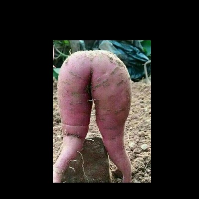 YAMS (feat. DigmShmacks, T-Fox, NIC & Booda) - Single