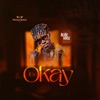 It's Okay - Single