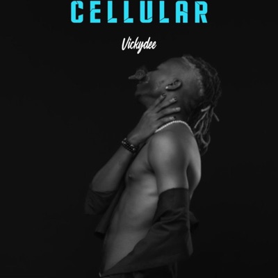 Cellular - Single