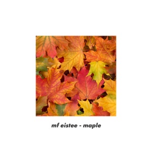 maple