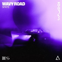 Wavy Road - Single - Spate
