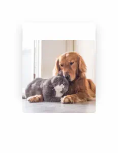 Escucha a Kathryn Greco, mira vídeos musicales, lee la biografía, consulta fechas de giras y mucho más.