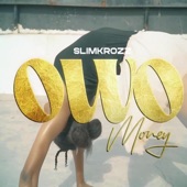 Owo(Money) artwork