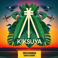 Dawn Is Coming - Single - Greg Ochman