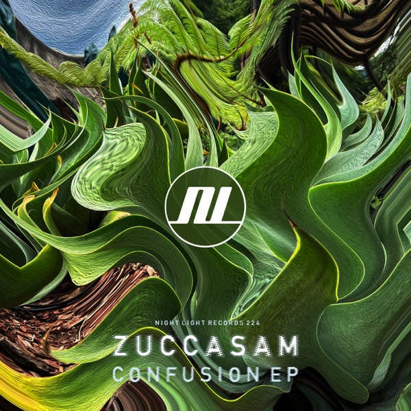 Confusion - Single